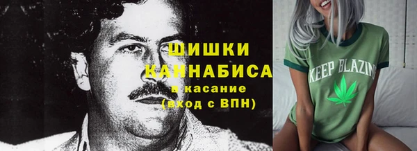 синтетический гашиш Богородицк