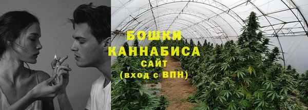 прущие грибы Беломорск