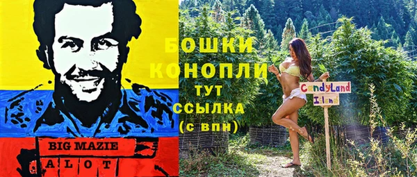 эйфоретик Бронницы