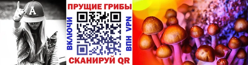 цена   Гусев  Псилоцибиновые грибы мицелий 