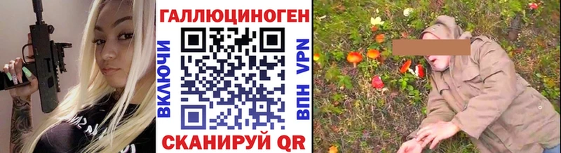 Галлюциногенные грибы Psilocybe Гусев