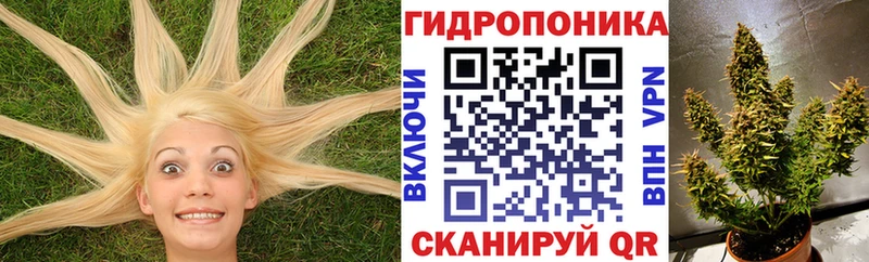 МАРИХУАНА гибрид  Гусев 